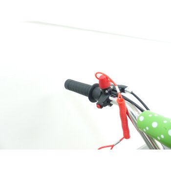 RV-Racing Pocketbike Dirtbike Pocket Cross Bike Kindercross Crossbike Grün