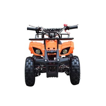 Pocketquad 49ccm Miniquad Quad Kinderquad Quad Pocketbike...