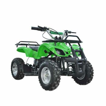 Pocketquad  Miniquad Quad Kinderquad Quad Pocketbike 800w Grün RV- Racing