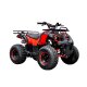 125ccm Quad ATV Kinder Quad Pitbike 4 Takt Motor  Quad ATV 8 Zoll KXD ATV 006