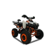 200ccm Quad Kinder ATV Quad Pitbike 4 Takt Motor  Quad ATV 008 10 Zoll