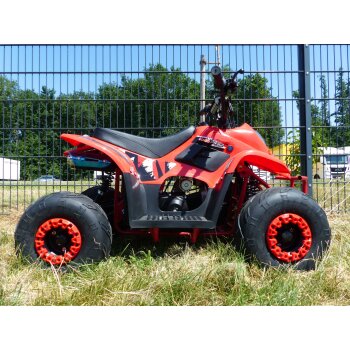 125ccm Quad ATV Automatikgetriebe 6 Zoll Kinderquad 4...