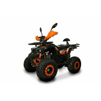 125ccm Quad ATV Kinder Quad Pitbike 4 Takt Motor Quad ATV...
