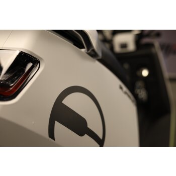 Elektro-Roller Alfarad AT1 Elektro Scooter Elektro Roller E-Roller mit Zulassung