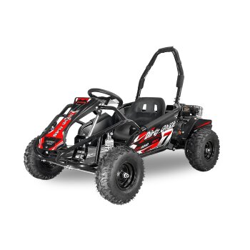 98ccm GoKid Dirty Buggy Strandbuggy Automatik Pullstart...