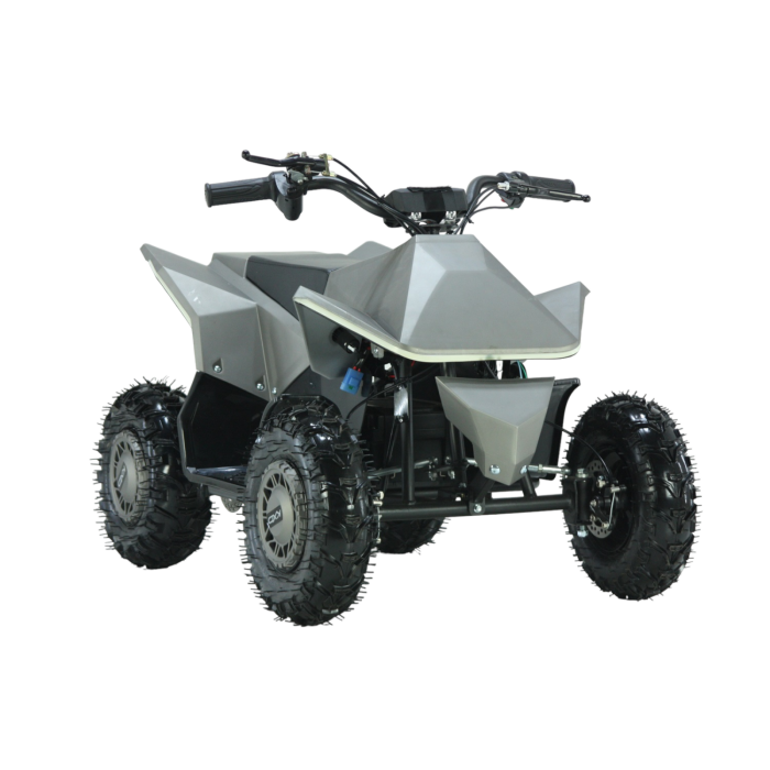 36v kids quad online
