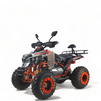200ccm Quad Kinder ATV Quad Pitbike 4 Takt  Quad ATV 010...