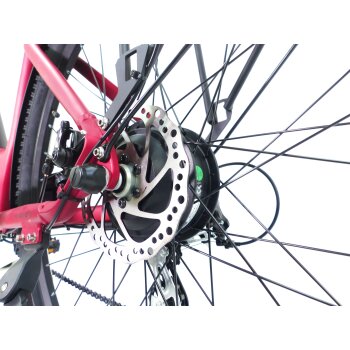 29 Zoll E-Bike Fahrrad Damenfahrrad Citybike Elektrofahrrad 36V 250W 70km Rot