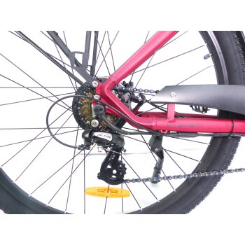 29 Zoll E-Bike Fahrrad Damenfahrrad Citybike Elektrofahrrad 36V 250W 70km Rot
