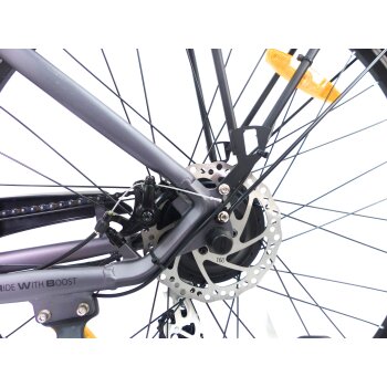 29 Zoll E-Bike Fahrrad Damenfahrrad Citybike Elektrofahrrad 36V 250W 70km Grau