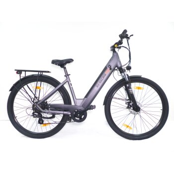 29 Zoll E-Bike Fahrrad Damenfahrrad Citybike Elektrofahrrad 36V 250W 70km Grau