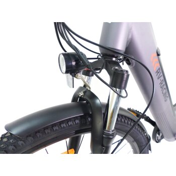 29 Zoll E-Bike Fahrrad Damenfahrrad Citybike Elektrofahrrad 36V 250W 70km Grau