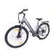 29 Zoll E-Bike Fahrrad Damenfahrrad Citybike Elektrofahrrad 36V 250W 70km Grau