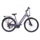 29 Zoll E-Bike Fahrrad Damenfahrrad Citybike Elektrofahrrad 36V 250W 70km Grau