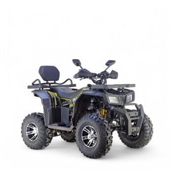 200ccm Quad Kinder ATV Quad Pitbike 4 Takt Quad ATV 013 Hunter 10 Zoll